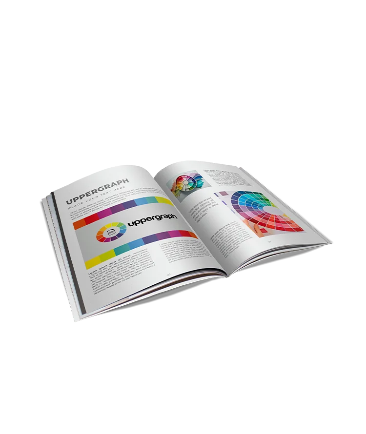 Revistas